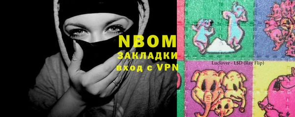 шишки Балахна